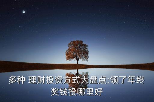 多種 理財投資方式大盤點:領了年終獎錢投哪里好