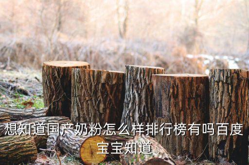 想知道國產奶粉怎么樣排行榜有嗎百度寶寶知道