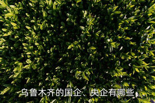 烏魯木齊的國企、央企有哪些