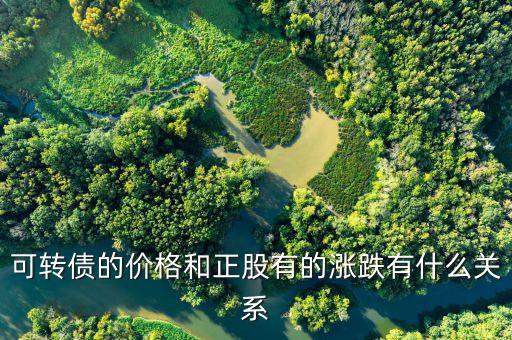 可轉債的價格和正股有的漲跌有什么關系