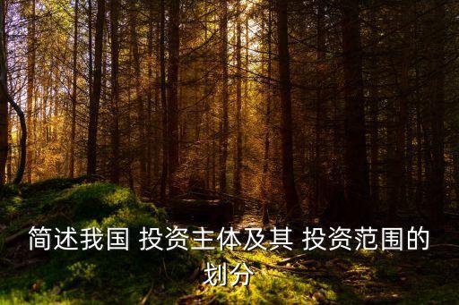 簡(jiǎn)述我國(guó) 投資主體及其 投資范圍的劃分