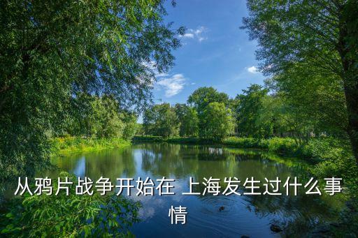上海日鼎盛,上海鼎盛集團(tuán)董事長
