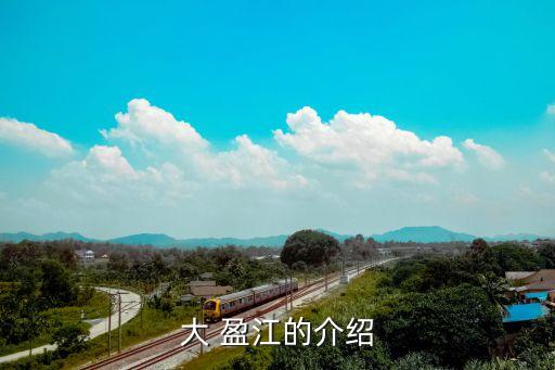國(guó)電德宏福榕大盈江水電開發(fā)有限公司