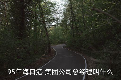 95年海口港 集團(tuán)公司總經(jīng)理叫什么