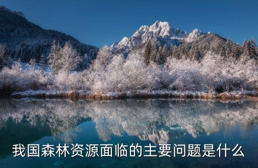 我國(guó)森林資源面臨的主要問(wèn)題是什么