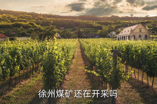 徐州煤礦還在開(kāi)采嗎