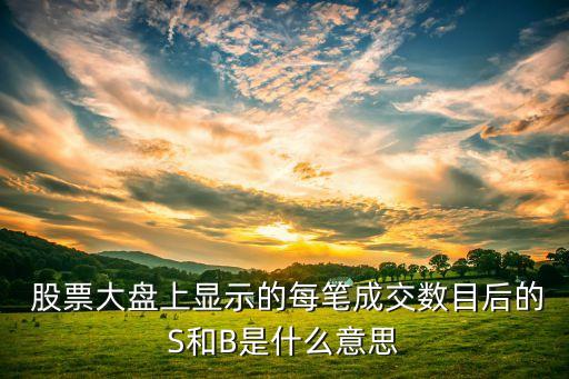  股票大盤(pán)上顯示的每筆成交數(shù)目后的S和B是什么意思