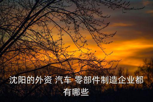 沈陽(yáng)的外資 汽車(chē) 零部件制造企業(yè)都有哪些