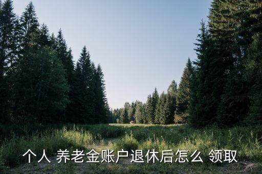 個人 養(yǎng)老金賬戶退休后怎么 領取