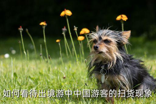 如何看待出境游中中國游客的掃貨現象