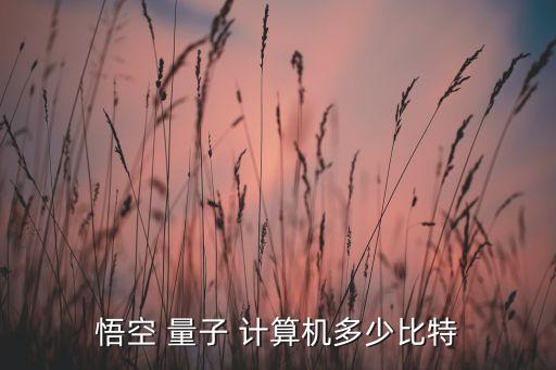中國量子計算機