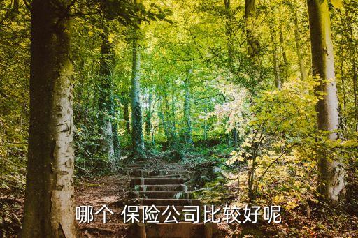 未來發(fā)展前景好的保險(xiǎn)公司,中國平安保險(xiǎn)公司發(fā)展前景