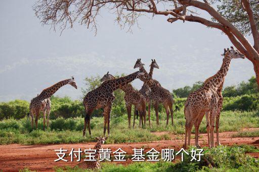 博時基金公司