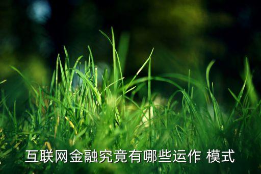 互聯(lián)網(wǎng)金融究竟有哪些運作 模式