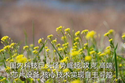 國內(nèi)科技巨頭強勢崛起,攻克 高端 芯片設(shè)備,核心技術(shù)實現(xiàn)自主可控