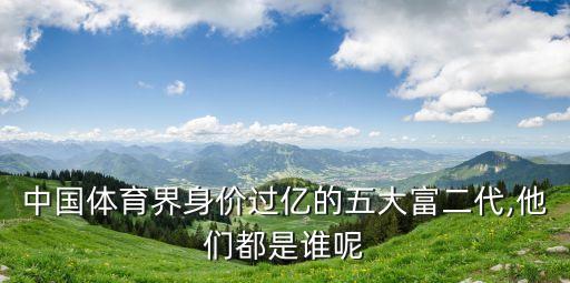 2015年中國(guó)誰(shuí)最有錢