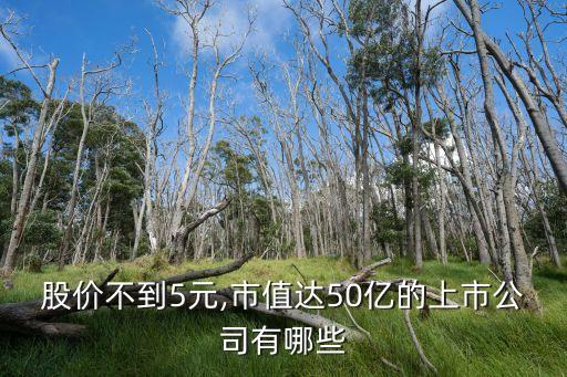 股價不到5元,市值達(dá)50億的上市公司有哪些