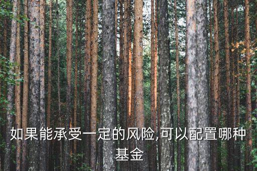 如果能承受一定的風險,可以配置哪種 基金