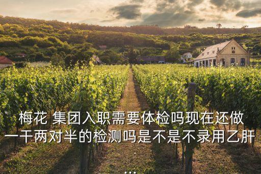  梅花 集團入職需要體檢嗎現在還做一干兩對半的檢測嗎是不是不錄用乙肝...