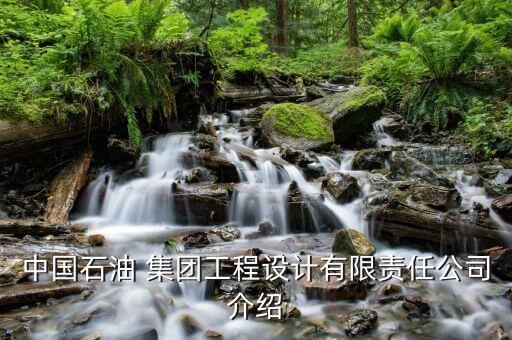 中國石油 集團工程設(shè)計有限責任公司介紹