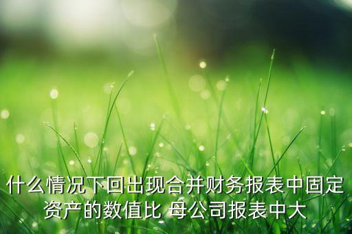 什么情況下回出現(xiàn)合并財務報表中固定資產(chǎn)的數(shù)值比 母公司報表中大