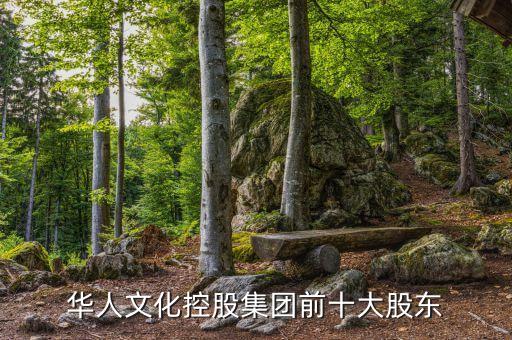 華人文化控股集團前十大股東