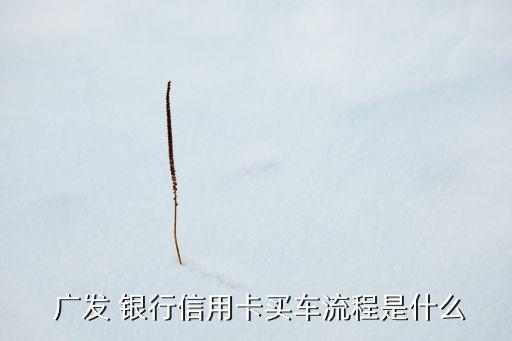  廣發(fā) 銀行信用卡買(mǎi)車(chē)流程是什么