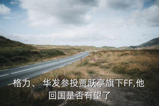 格力、 華發(fā)參投賈躍亭旗下FF,他回國是否有望了
