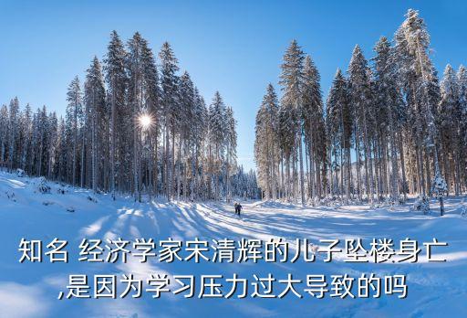 知名 經濟學家宋清輝的兒子墜樓身亡,是因為學習壓力過大導致的嗎