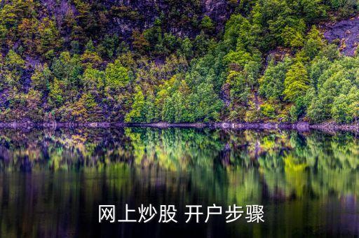 股票網(wǎng)上開(kāi)戶(hù)需要什么,創(chuàng)業(yè)板股票開(kāi)戶(hù)有什么條件