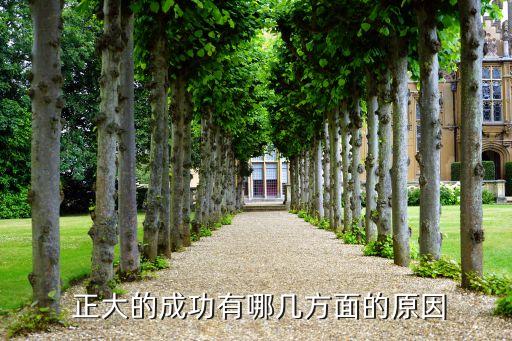 正大集團經營