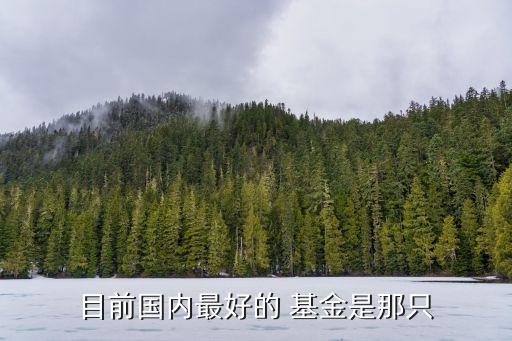 目前國內最好的 基金是那只