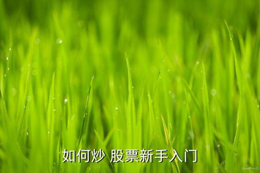 如何炒 股票新手入門(mén)