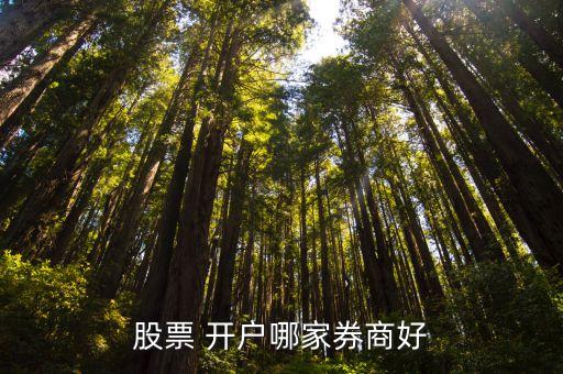 股票 開(kāi)戶(hù)哪家券商好