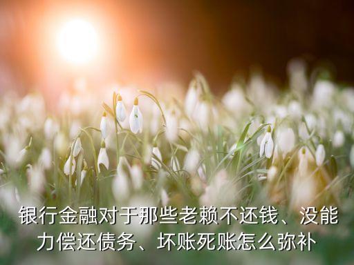  銀行金融對(duì)于那些老賴(lài)不還錢(qián)、沒(méi)能力償還債務(wù)、壞賬死賬怎么彌補(bǔ)