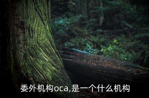  委外機構oca,是一個什么機構