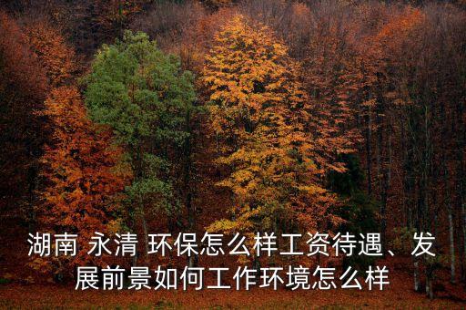 湖南 永清 環(huán)保怎么樣工資待遇、發(fā)展前景如何工作環(huán)境怎么樣