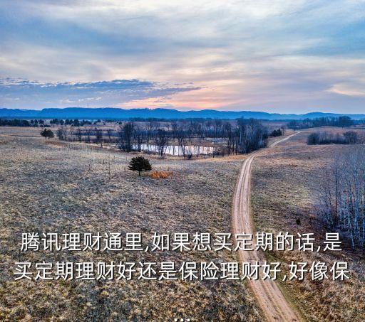 騰訊理財(cái)通里,如果想買(mǎi)定期的話(huà),是買(mǎi)定期理財(cái)好還是保險(xiǎn)理財(cái)好,好像保...