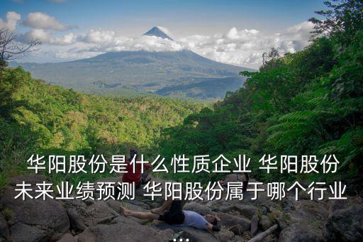 北京國(guó)泰華陽投資有限公司,華陽投資(香港)有限公司