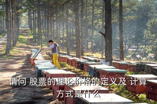 請問 股票的理論價(jià)格的定義及 計(jì)算方式是什么
