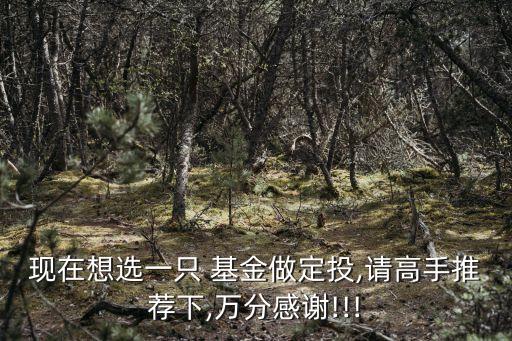 現(xiàn)在想選一只 基金做定投,請(qǐng)高手推薦下,萬分感謝!!!
