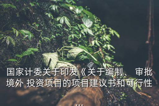 國家計委關于印發(fā)《關于編制、 審批境外 投資項目的項目建議書和可行性...