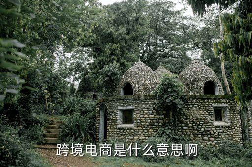 上?？缇畴娮由虅?wù)