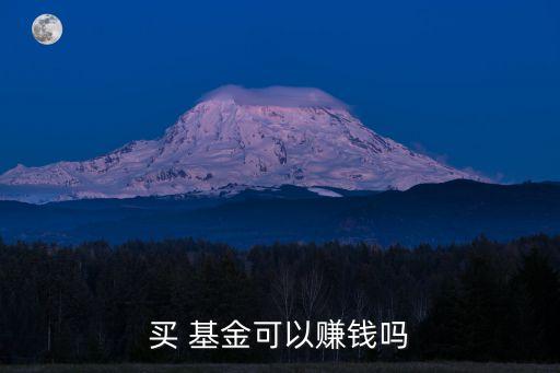 買(mǎi) 基金可以賺錢(qián)嗎
