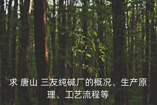 求 唐山 三友純堿廠的概況、生產(chǎn)原理、工藝流程等