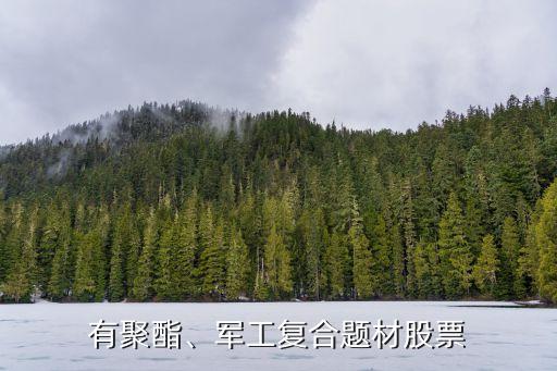 有聚酯、軍工復(fù)合題材股票
