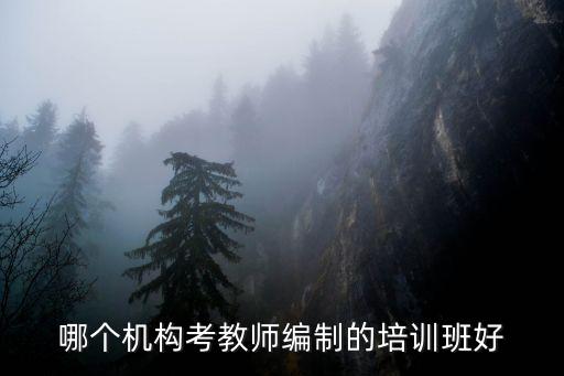 哪個機構(gòu)考教師編制的培訓班好