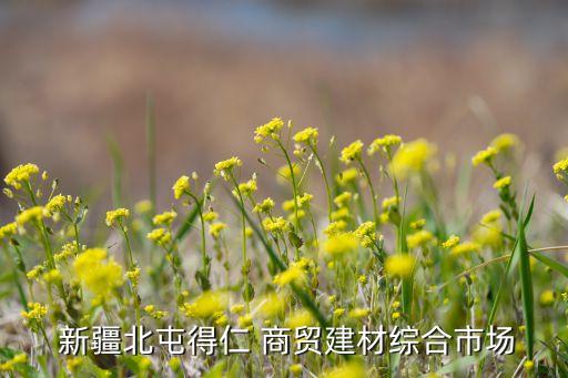  新疆北屯得仁 商貿建材綜合市場