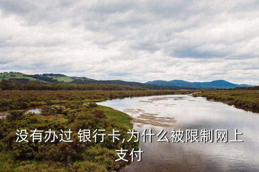 沒(méi)有辦過(guò) 銀行卡,為什么被限制網(wǎng)上支付