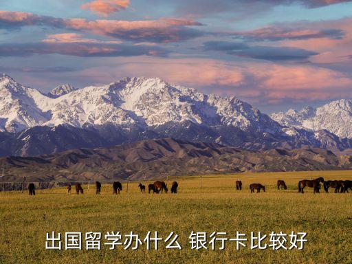 國外申請(qǐng)銀行卡,在國外怎么申請(qǐng)國內(nèi)銀行卡